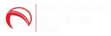 MAXIPETROL